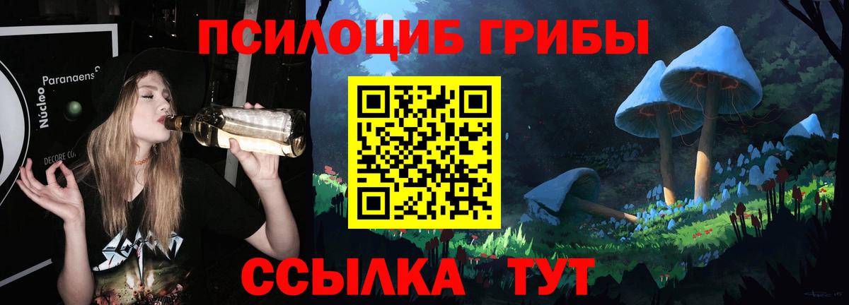 Псилоцибиновые грибы Psilocybine cubensis  Галлюциногенные грибы прущие грибы  купить  сайты  Дальнегорск  Вход с VPN 
